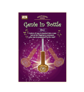 19101 - 3 Genie in Bottle